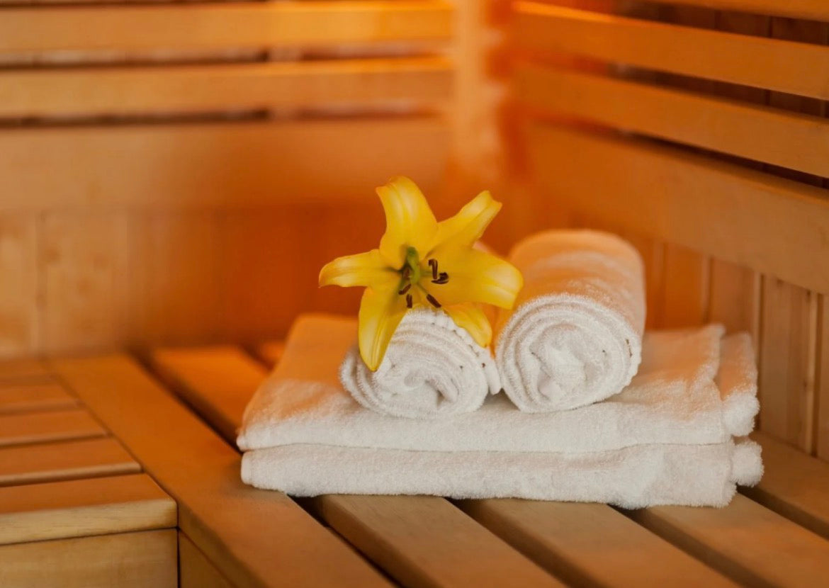 Sauna Starter System